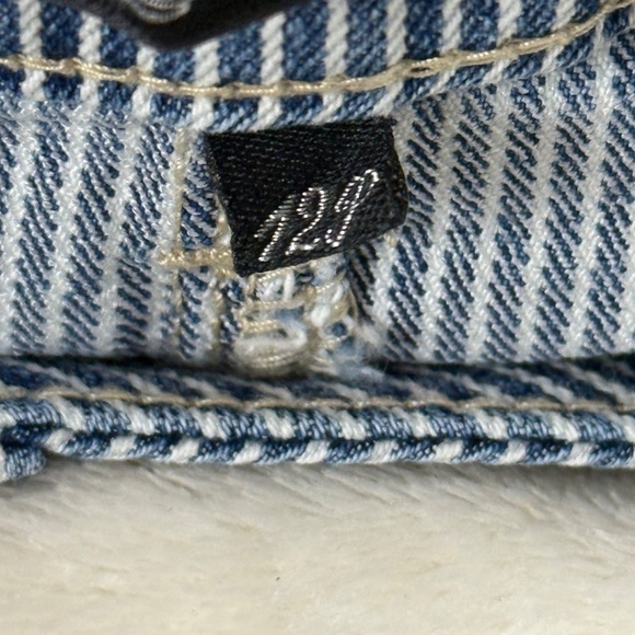 Ag Adriano Goldschmied Blue White Railroad Stripe Pattern Women's Shorts 12P NWT - Picture 4 of 9